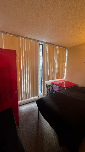 Female Roommate Wanted Downtown-1